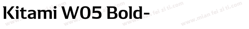 Kitami W05 Bold字体转换